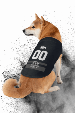 Animaux